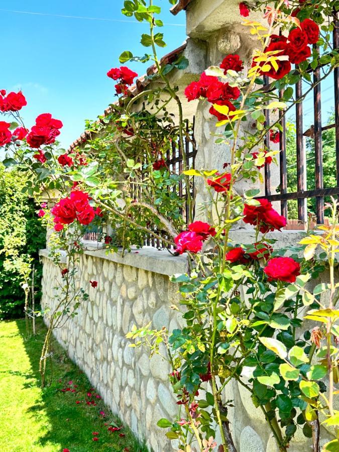 Villa Rila Garden Beli Iskar Extérieur photo